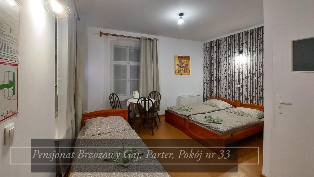 Brzozowy Gaj - Pensjonat Karpacz Εξωτερικό φωτογραφία