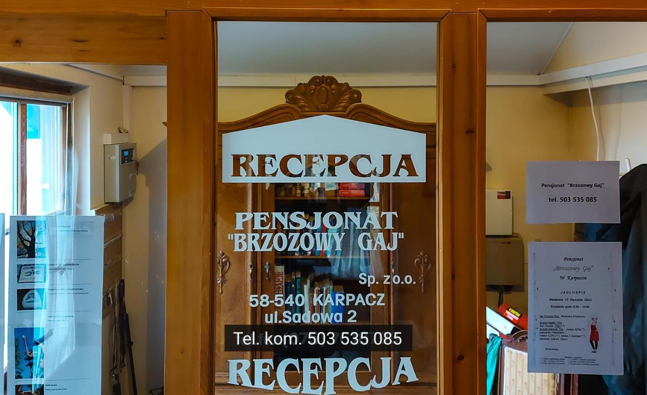 Brzozowy Gaj - Pensjonat Karpacz Εξωτερικό φωτογραφία